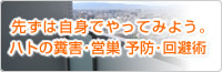 先ずは自身でやってみよう。ハトの糞害・営巣 予防・回避術