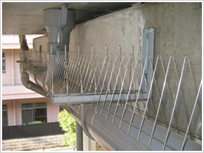 配管・丸梁上部専用防鳥器具