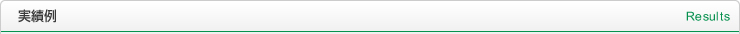 実績例 Results