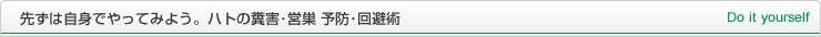 先ずは自身でやってみよう。ハトの糞害･営巣 予防･回避術 Do it yourself