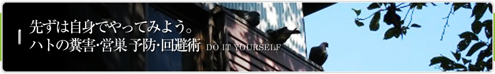 先ずは自身でやってみよう。ハトの糞害･営巣 予防･回避術 DO IT YOURSELF