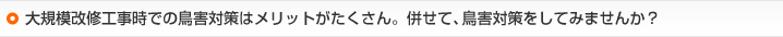 大規模改修工事時での鳥害対策はメリットがたくさん。併せて、鳥害対策をしてみませんか？