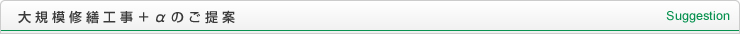 大規模修繕工事＋αのご提案 Suggestion