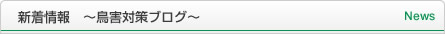 新着情報　～鳥害対策ブログ～